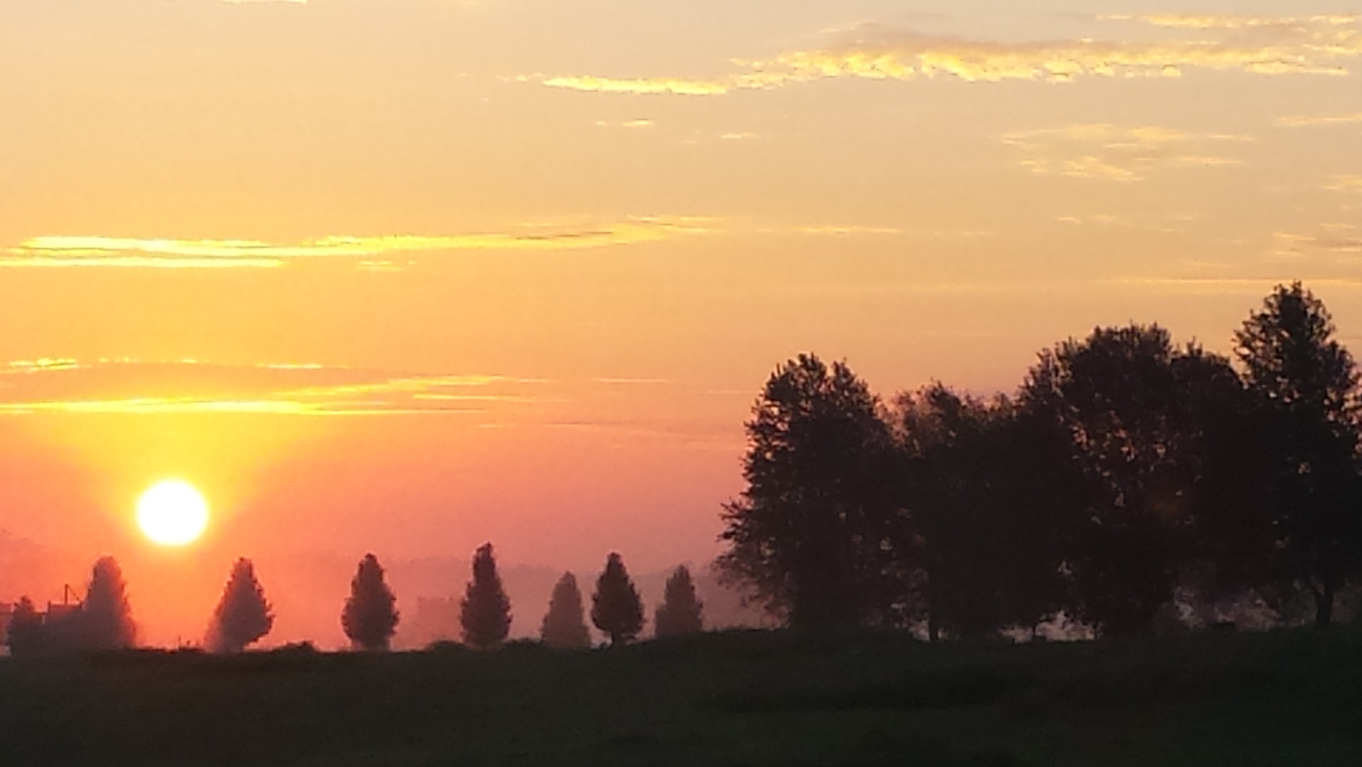 Kentucky Sunrise